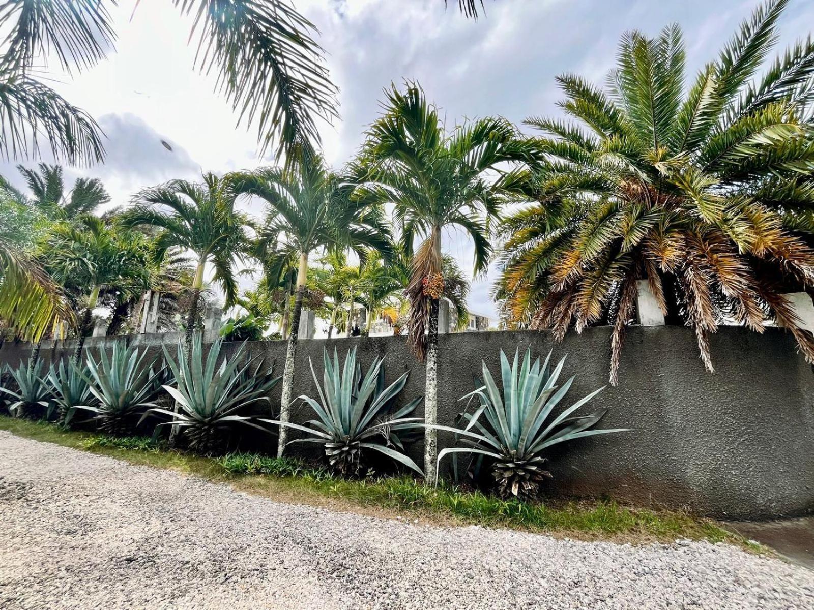 Villa Carocanne Grand Gaube Extérieur photo